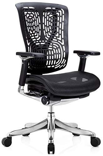 GM Seating Ergobilt High-Back Ergonomic Executive Task Mesh Swivel Office Desk Chair - ERGOLUXSEATING.COM